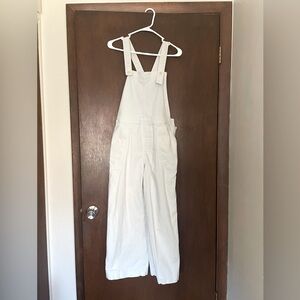 Patagonia Stand Up Cropped Overalls